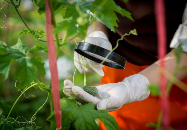 מגמת ביולוגיה