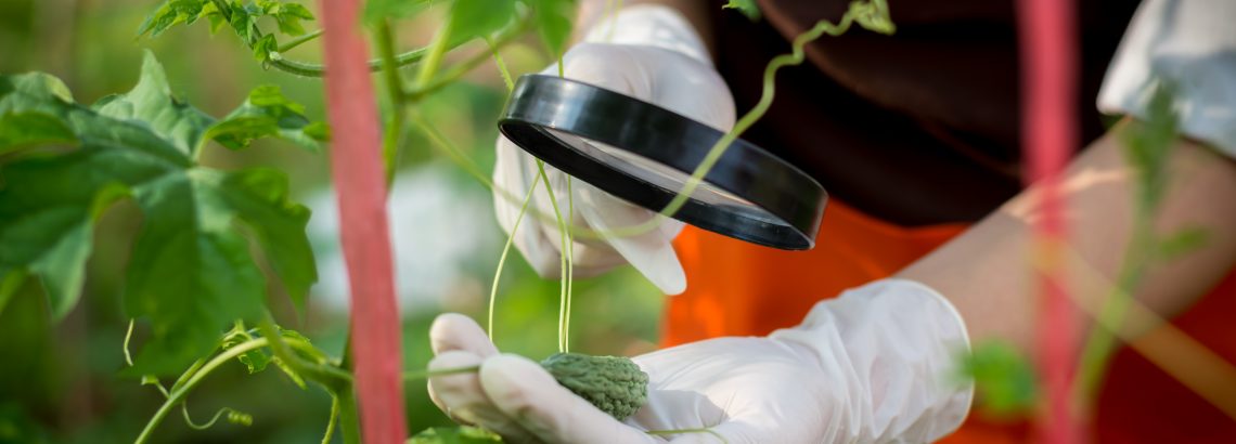 מגמת ביולוגיה